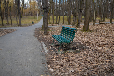 A lone green park bench placed along a walking path covered with autumn leaves. The peaceful setting captures the beauty of fall, with trees shedding their leaves in a quiet park atmosphereの写真素材