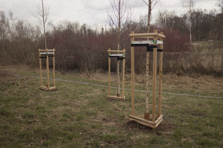 Three newly planted trees in wooden stands, set on open ground in a natural park or field. The scene shows the early stages of tree growth, with a focus on sustainability and nature preservation.の写真素材