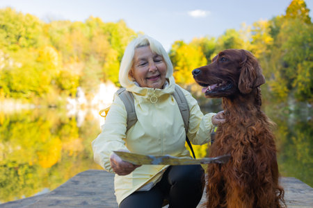 Happy senior 60s woman holds travel map searching location, with her best friend irish setter dog wear casual clothes in the autumn forest. Leisure, road trip, travel and people concept.の写真素材
