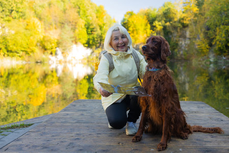 Happy senior 60s woman holds travel map searching location, with her best friend irish setter dog wear casual clothes in the autumn forest. Leisure, road trip, travel and people concept.の写真素材