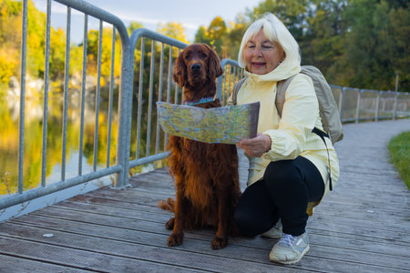 Happy senior 60s woman holds travel map searching location, with her best friend irish setter dog wear casual clothes in the autumn forest. Leisure, road trip, travel and people concept.の写真素材