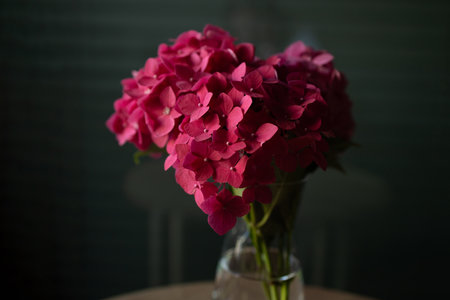 Elegant bouquet of pink hydrangea flowers in transparent glass vase placed on wooden table with dark background. Concept of still life, home decoration, and natural beauty. Minimalist floral arrangement symbolizing elegance, romance, interior design, and peaceful atmosphere in modern lifestyle and home decor.の写真素材