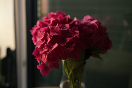 Elegant bouquet of pink hydrangea flowers in transparent glass vase placed on wooden table with dark...