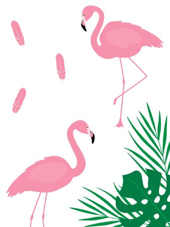 Greeting card flamingo vector birds tropics flowersのイラスト素材