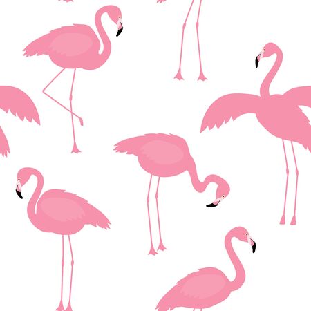 Vector illustration pink flamingo bird seamless patternのイラスト素材