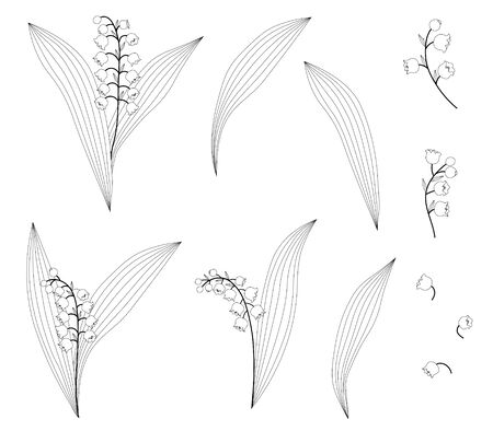 Vector Graphics Set of Lily of the Valley Floral Elementsのイラスト素材