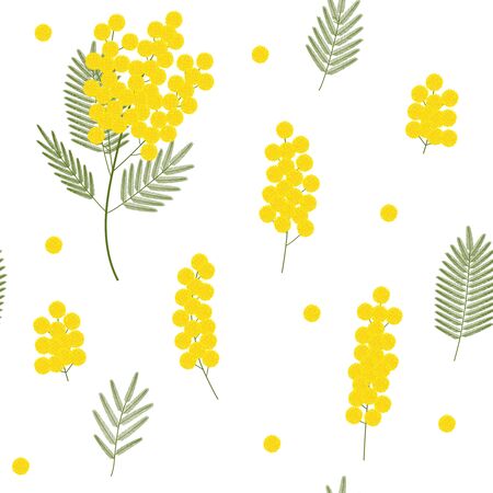 Mimosa seamless pattern vector illustration. Spring flowers botanicalのイラスト素材
