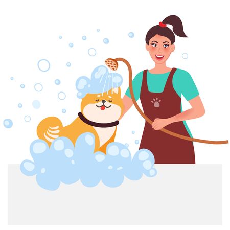 Master groomer conducts hygiene wash dogs. Professional pet care. Vector illustrationのイラスト素材
