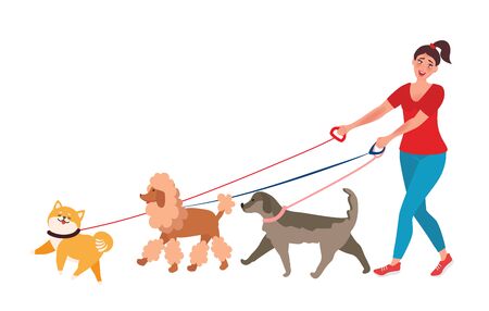 The girl walks a few dogs. Professional dog Walker. Vector illustrations unusual professionsのイラスト素材