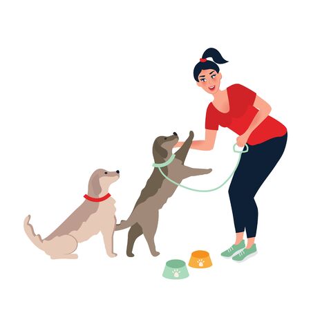 The girl feeds and strokes the dog. A dog's dinner. Feeding and caring for Pets . Vector illustrationのイラスト素材