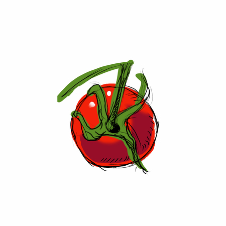Vector illustration of tomato on a white background. EPS 10のイラスト素材