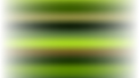 Vector blur background from tropical exotic plants. web bannerのイラスト素材