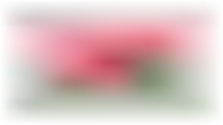 Vector white blur background with pink and green spots. Web bannerのイラスト素材