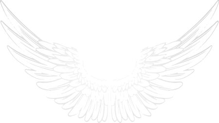 white background with pair of wings. Angel wingsのイラスト素材