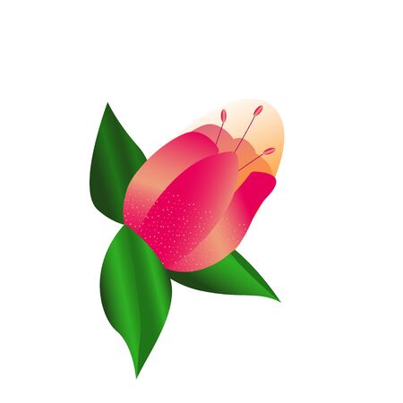 Pink Flower vector logo design. Element for beauty and spa, logotype, sign, web iconのイラスト素材