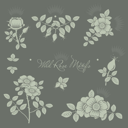 Rosehip motifs vector illustrations set for cardsのイラスト素材