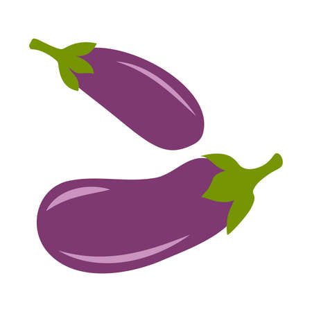 eggplant vector isolated flat design on white backgroundのイラスト素材