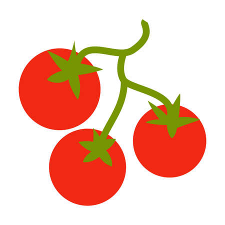 tomatoes vector isolated flat design on white backgroundのイラスト素材