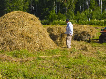 The image of preparation of hay peasants in Siberiaの写真素材