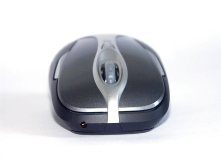 The image of the  mouse on a homogeneous background