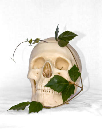 The image of a skull of the person and an ivyの写真素材
