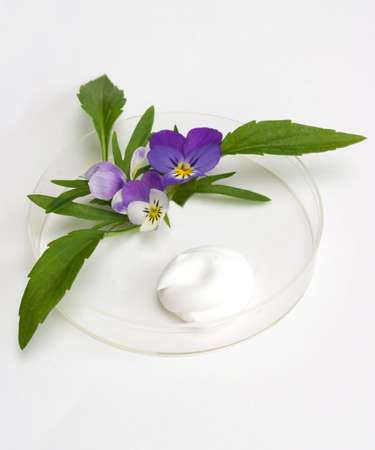 the cream and herb image in a glass saucerの写真素材