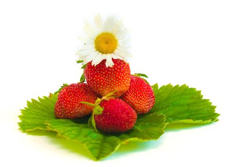 Strawberry and camomile on a white backgroundの写真素材