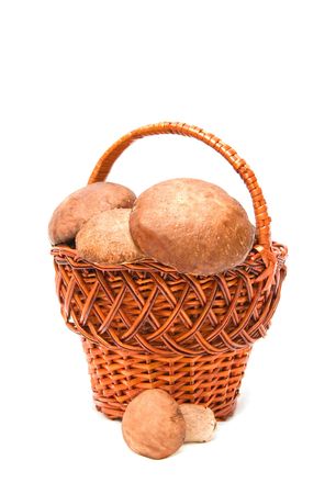 The image of ceps in a basketの写真素材