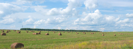 The image of oblique fields with straw bales