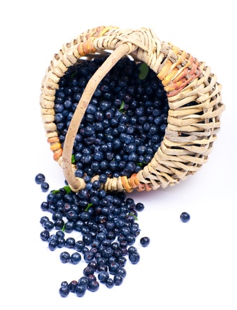 Bilberry in a basket on a white backgroundの写真素材