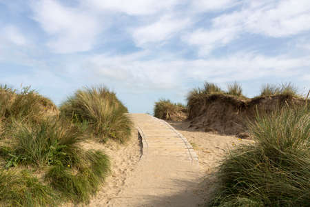 The road to the sea through the sand dunes.の写真素材