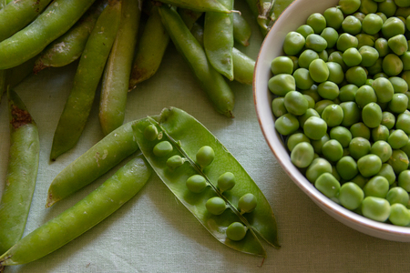 Freshly picked fresh green peas on a grey tableclothの写真素材