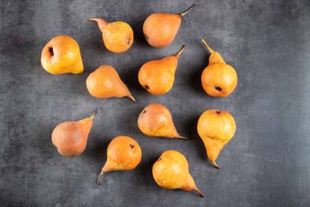 Beautiful ripe pears from the new crop lie on a stone table. Place under the text. Natural fruits on a gray background. Traditional organic garden productsの写真素材