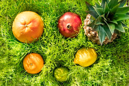 Bright exotic fruits in green grass. Grapefruit, mandarin, lemon, kiwi, pomegranate and pineapple. Healthy vegetarian food, vitamins for health. Fruit for juices and smoothiesの写真素材