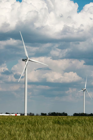 Wind farm in a field of green rye Wind farm in the background of thunderclouds in a wheat field....