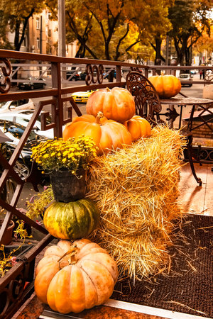 Traditional shop decor with pumpkins and flowers for All Saints Day. Halloween is coming. Pyramids of large orange pumpkins and a flowerpot of chrysanthemums on hay blocks. Home staircase decoration for Halloweenの写真素材