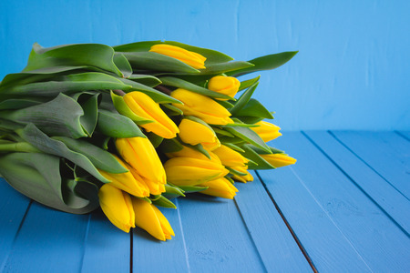 Bouquet of yellow tulips on blue wooden background. Selective focus.の写真素材