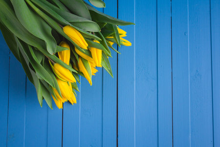 Bouquet of yellow tulips on blue wooden background. Selective focus.の写真素材