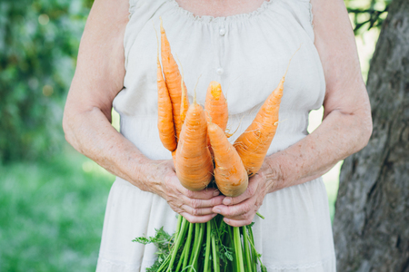 Portrait of an elderly woman in a hat holding a carrot. Toning. Selective focus.の写真素材
