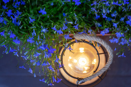 A decorative luminous lamp illuminates the blue flowers in the garden with a dim light at night. The warm atmosphere of the evening, country life.の写真素材