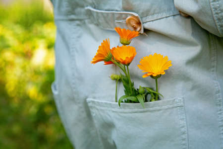 A small bouquet of orange flowers in the back pocket of a light green jumpsuit. Gardening, romance concept.の写真素材