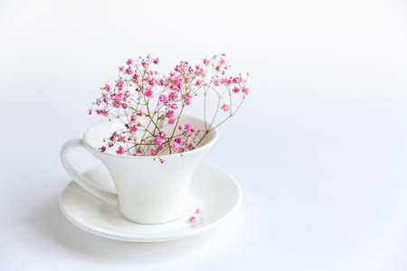 White cup with beautiful pink gypsophila flowers on a light background, minimalism, copy space. Gift card, the mood of a spring or summer morning conceptの写真素材