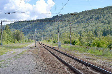 Rails and a dirt road in the forest area.