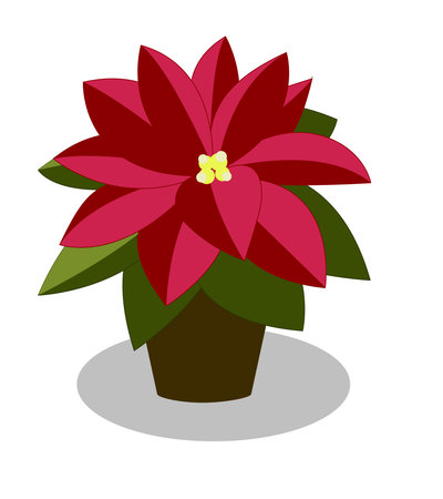 Red poinsettia flower, houseplant. Flower in a planter isolated on a white background. Simple green branch of a poinsettia with leaves and red flower. Flat style, editable stroke.のイラスト素材