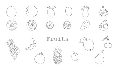 Fruit set, hand-drawn. Contour drawing isolated on a white background. Whole and chopped fruits. Illustration, icon, template for coloring.のイラスト素材