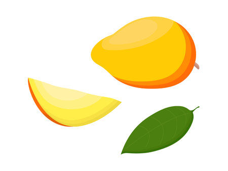 Mango fruit isolated on a white background. Vector illustration, icon of fruit. Whole and chopped mango in a hand-drawn style.のイラスト素材