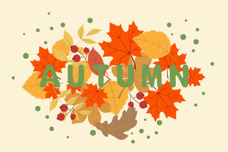 Autumn leaves isolated on a beige background. Vector illustration in the hand drawn style with autumn inscription. For greeting card, invitation, cover and advertisement.のイラスト素材