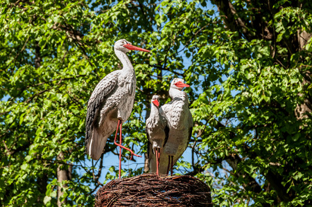 Sculpture in the park in the form of nest with a family of storks on blurred background of treesの写真素材