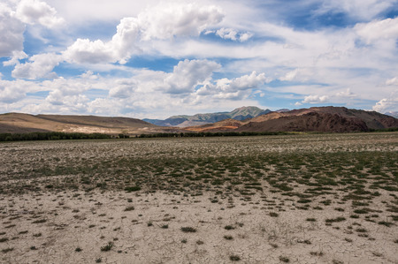 Scenic desert steppe landscape with mountains. Dry earth with rare plants as foreground and the mountains, the sky and clouds as a background.の写真素材