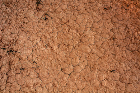 Abstract brown decorative background in grunge style depicting the dry cracked ground in the desert